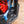 REAR DOOR CARGO CARRIER - SPRINTER